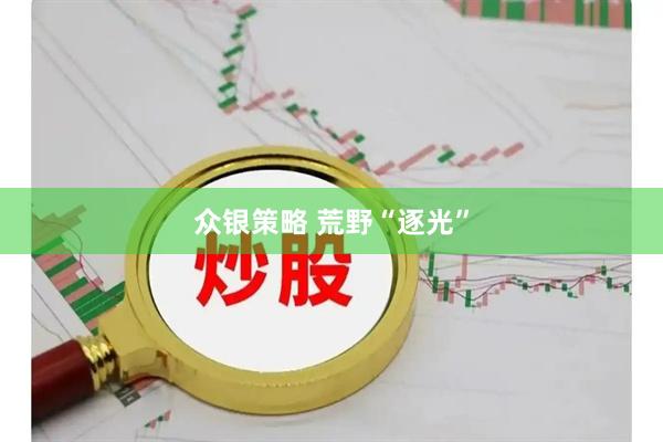 众银策略 荒野“逐光”
