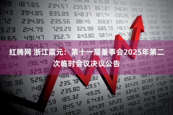 红腾网 浙江震元：第十一届董事会2025年第二次临时会议决议公告