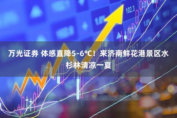 万光证券 体感直降5-6℃！来济南鲜花港景区水杉林清凉一夏
