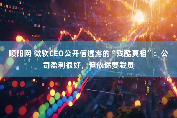 顺阳网 微软CEO公开信透露的“残酷真相”：公司盈利很好，但依然要裁员