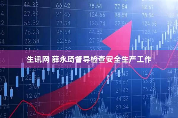 生讯网 薛永琦督导检查安全生产工作